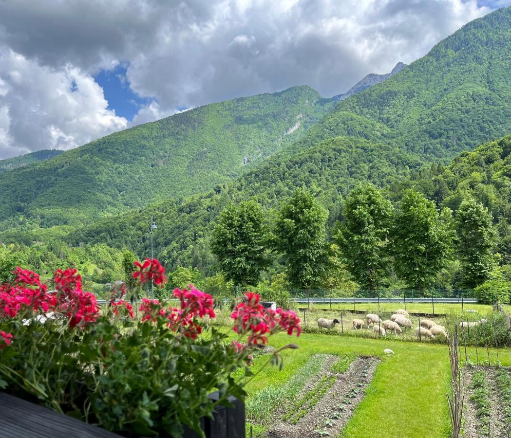 Aparthotel Residenza La Ciasa à Claut Extérieur photo